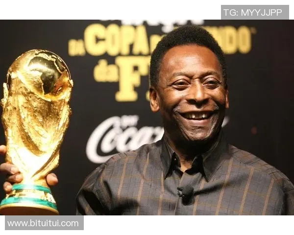 《全球足坛传奇球星传记全纪录：他们的辉煌与奋斗》