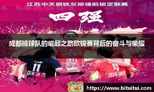 成都排球队的崛起之路欧锦赛背后的奋斗与荣耀